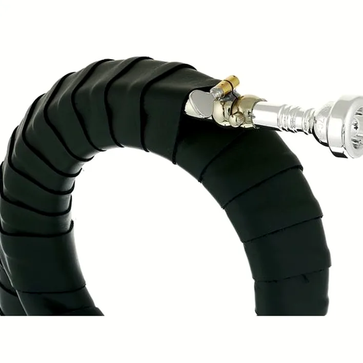 Test, Avis : Dotzauer Meister Bb Horn 18825 Set