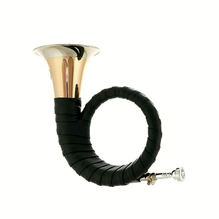 Test, Avis : Dotzauer Meister Bb Hunting Horn 18825