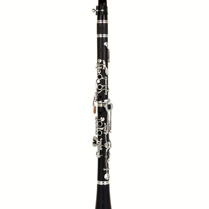 Avis & Test : Thomann GCL-410 CG C- Clarinet