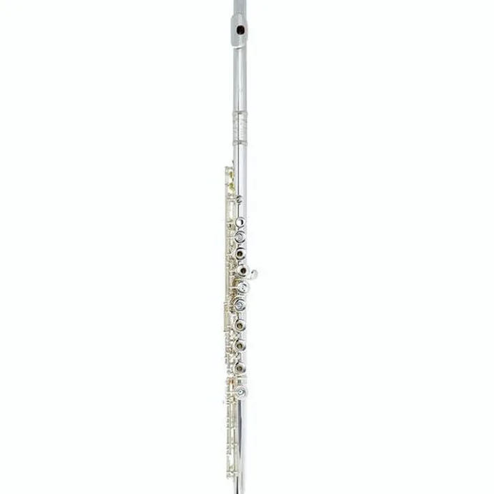 Flûte traversière Muramatsu DS-RBEOH Flute Handmade / Avis, Test & Comparatif