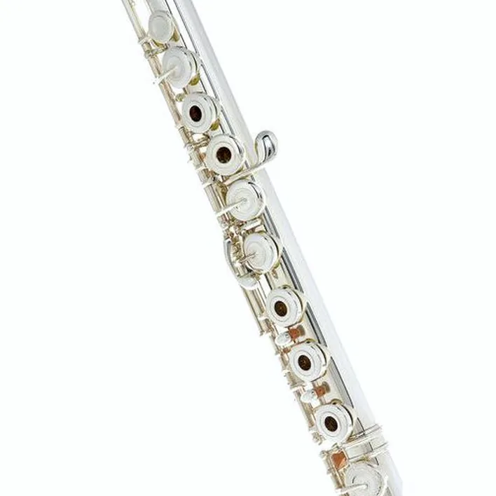 Flûte traversière Muramatsu DS-RBEOH Flute Handmade / Avis, Test & Comparatif