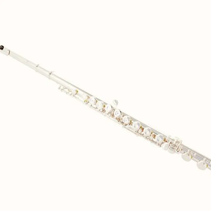 Flûte traversière Muramatsu EX-III-CBE Flute – Avis & Test