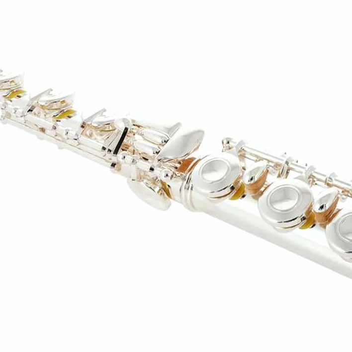 Flûte traversière Muramatsu EX-III-CBE Flute – Avis & Test