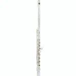 La flûte traversière Sankyo CF 201 Flute RE Avis, Comparatif & Test