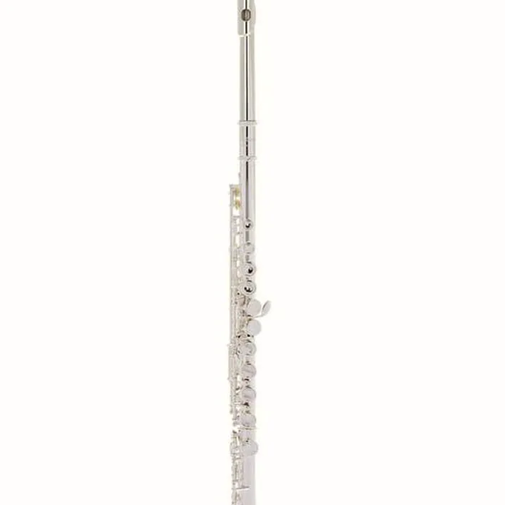 Flûte traversière Startone SFL-55 Flute – Test, Comparatif, Avis
