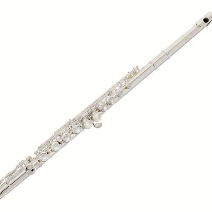 Flûte traversière Startone SFL-55 Flute – Test, Comparatif, Avis