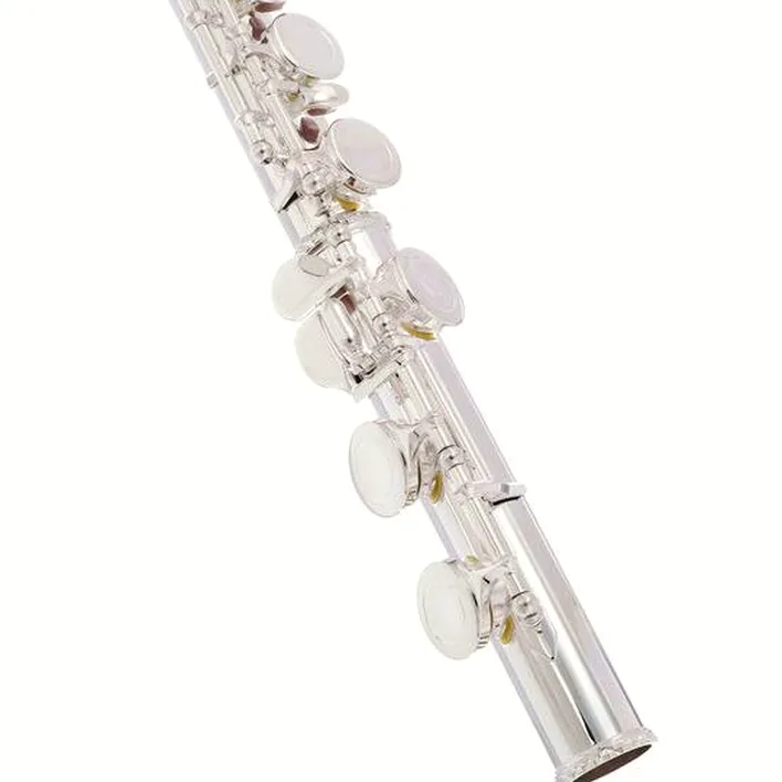 Flûte traversière Startone SFL-55 Flute – Test, Comparatif, Avis