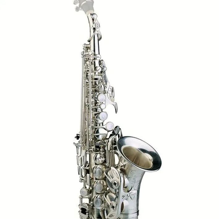 Le saxophone Rampone & Cazzani R1 Jazz Soprano Sax AG Curved : Avis, Test & Comparatif