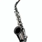 Avis, Test du saxophone Thomann ASBBS Custom Line Alto Sax