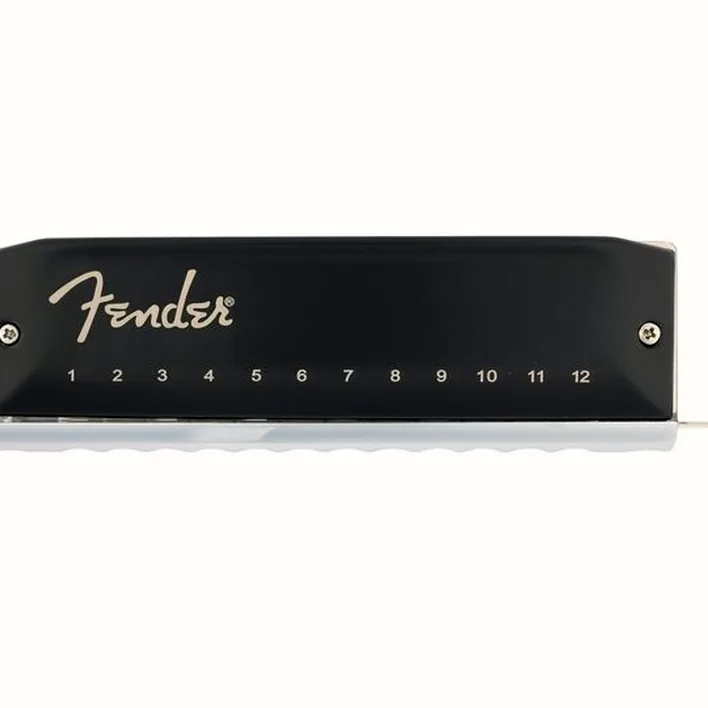 Test, Avis : Fender Groove Pro Chromatic 12H C