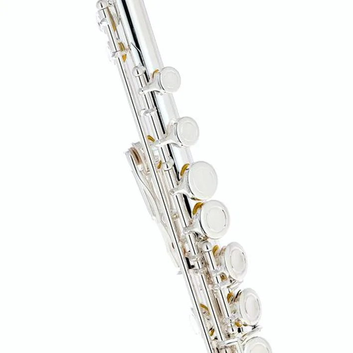 Test & Avis : Fliphead Flute Bundle FL1-SE AM-2