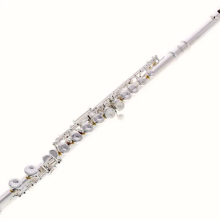 Test & Avis : Fliphead Flute Bundle FL1-SE AM-2