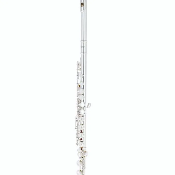Test & Avis : Fliphead Flute Bundle FL1-SE AM-2