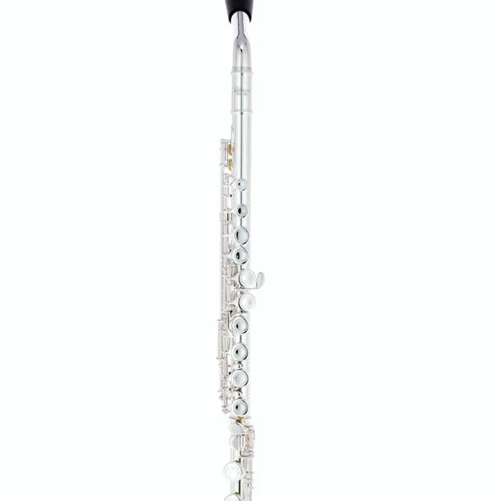 Test & Avis : Fliphead Flute Bundle FL1-SE AM-2
