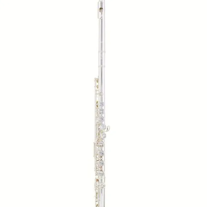 Flûte traversière Azumi AZ-Z3 E Flute Test & Avis