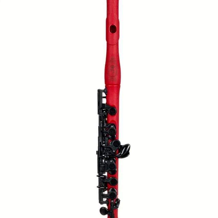 Test, Avis : Guo New Voice Piccolo Flute Cherry
