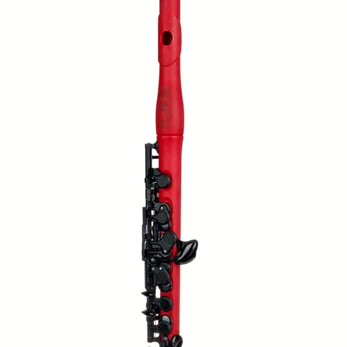 Test, Avis : Guo New Voice Piccolo Flute Cherry