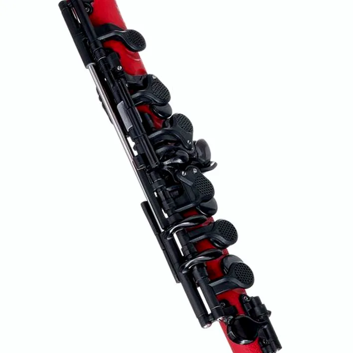 Test, Avis : Guo New Voice Piccolo Flute Cherry