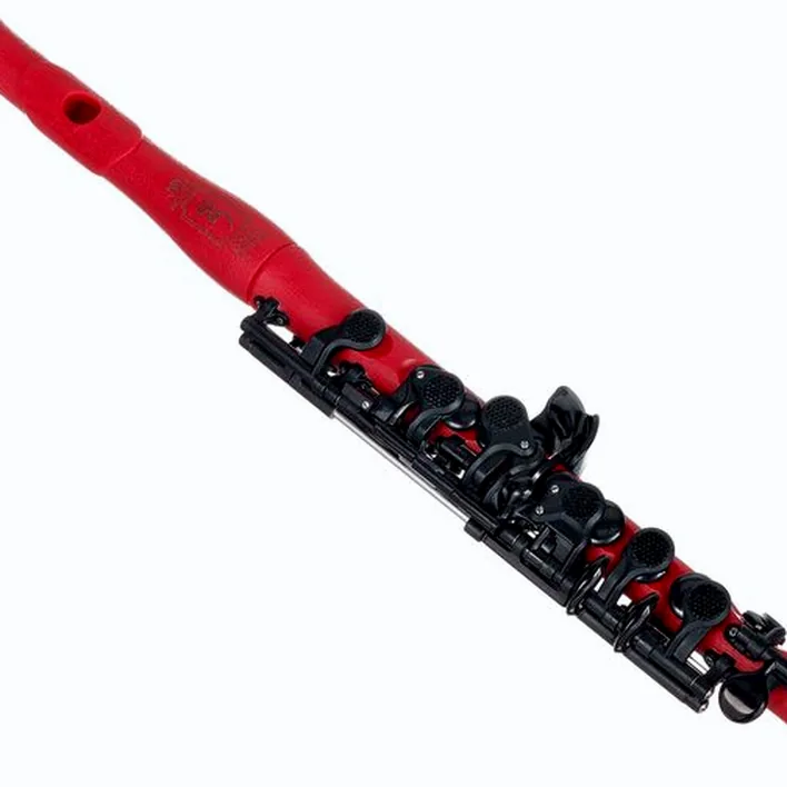 Test, Avis : Guo New Voice Piccolo Flute Cherry