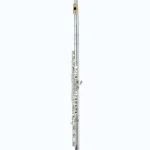 Avis, Test flûte traversière Pearl Flutes Dolce 695 RBE – Vigore