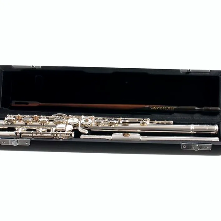 Test, Avis de la flûte traversière Sankyo CF 401 RE Flute