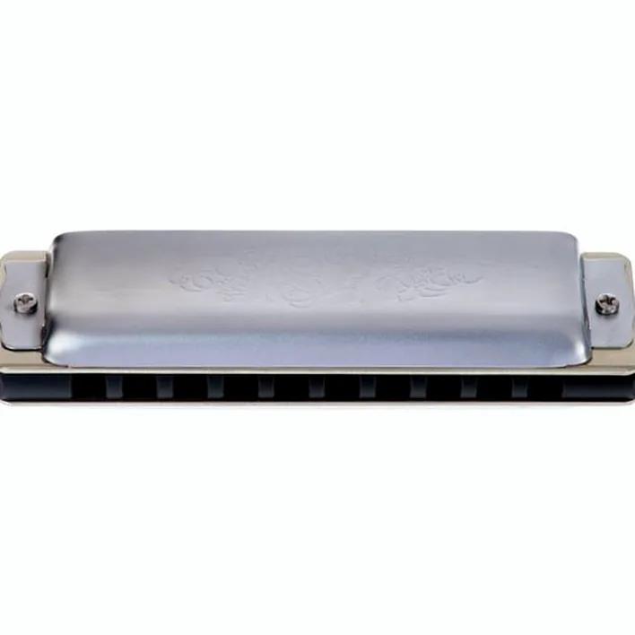 Test, Avis harmonica C.A. Seydel Söhne 1847 Noble Low C