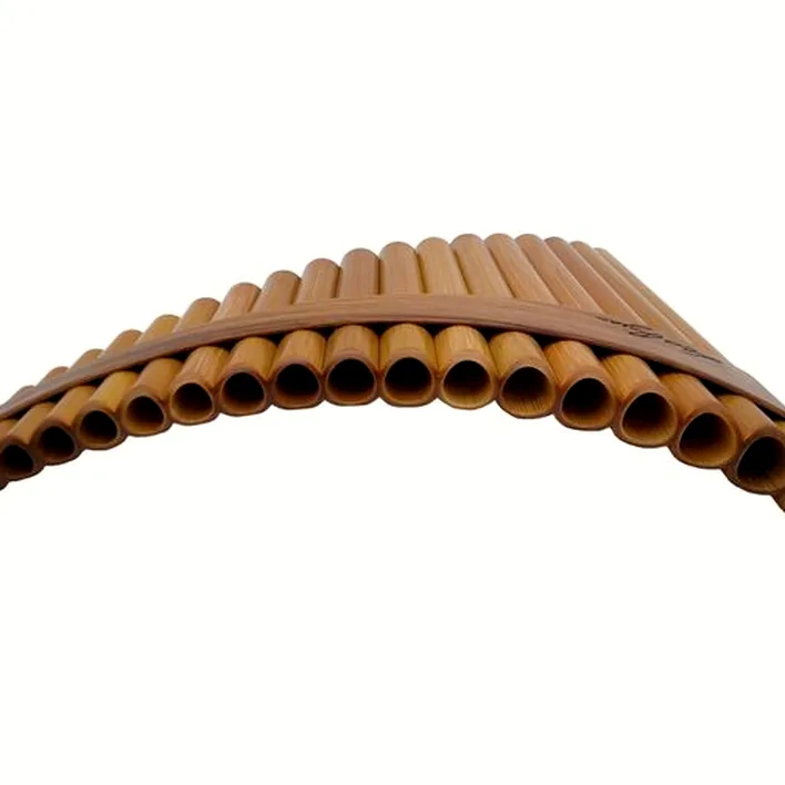 Test & Avis : Hofmann Leo Rojas Panpipe G G1-C4