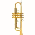 Test, Avis : Kühnl & Hoyer Malte Burba Premium Goldbrass