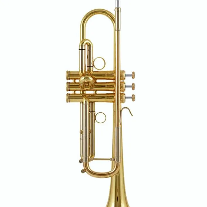 Test, Avis : Kühnl & Hoyer Revision Bb-Trumpet