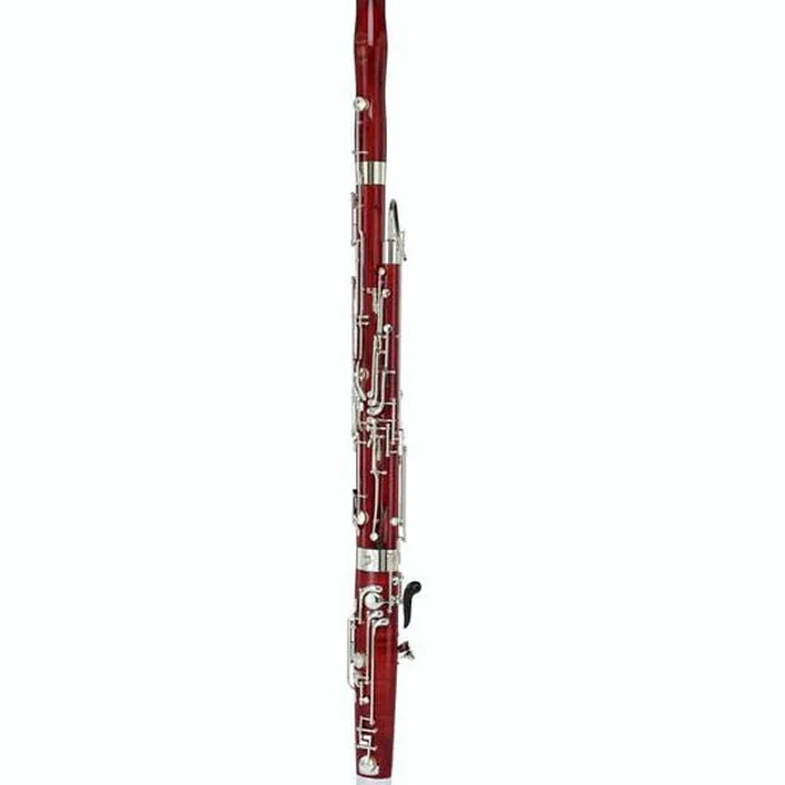 Test, Avis : Oscar Adler & Co. 1357/125 Bassoon Anniversary