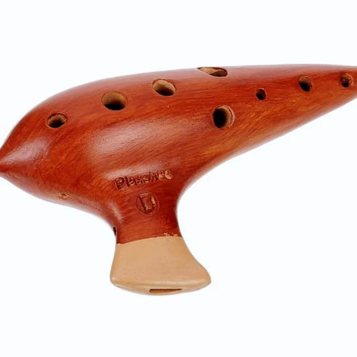 Test, Avis : Plaschke Ocarina 10H D