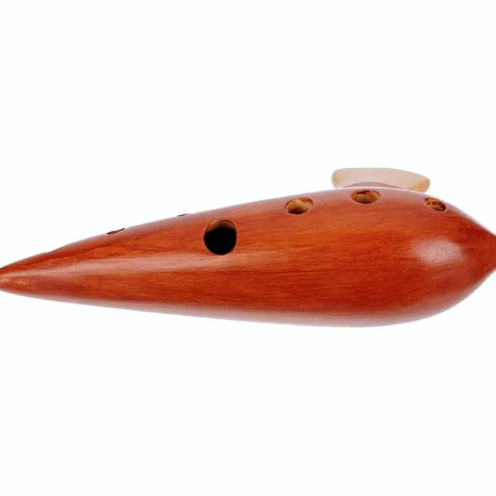 Test, Avis : Plaschke Ocarina 10H D