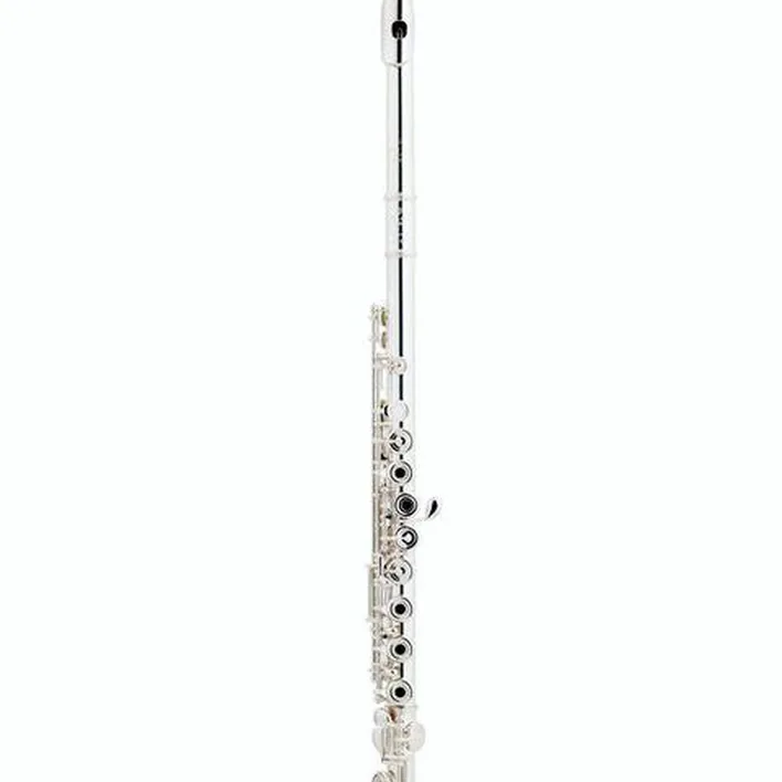 Avis et Test de la flûte traversière Powell Sonare PS 505 CEF Flute