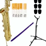 Avis, Test : Startone SBS-75 Baritone Sax Set