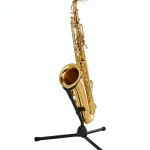 Le saxophone Yanagisawa T-WO1 Tenor Sax – Comparatif, Test & Avis