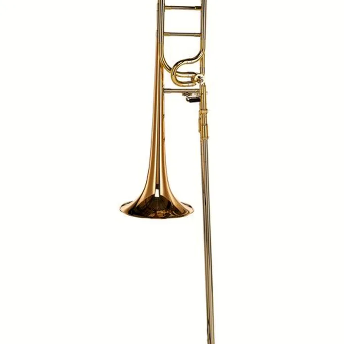 Avis, Test trombone Schagerl Academica Bb/F-Tromb. TP-450G