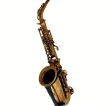 Test et Avis du saxophone Schagerl Alto Sax 66FV-EC