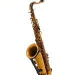 Saxophone Schagerl SuperiorPro Tenor Sax T-2V Comparatif, Avis et Test