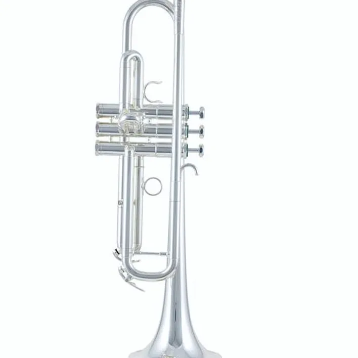 Test, Avis : Schilke S22- HD Bb-Trumpet
