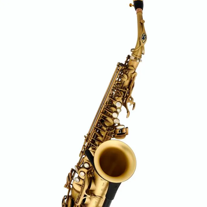 Saxophone Selmer Signature Alto Sax SE-ASIP – Avis et Test