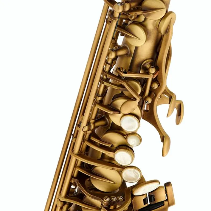 Saxophone Selmer Signature Alto Sax SE-ASIP – Avis et Test