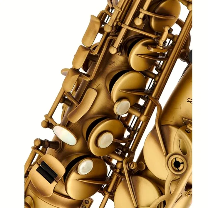 Saxophone Selmer Signature Alto Sax SE-ASIP – Avis et Test