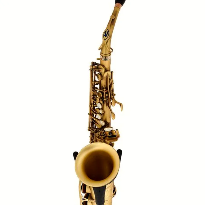 Saxophone Selmer Signature Alto Sax SE-ASIP – Avis et Test