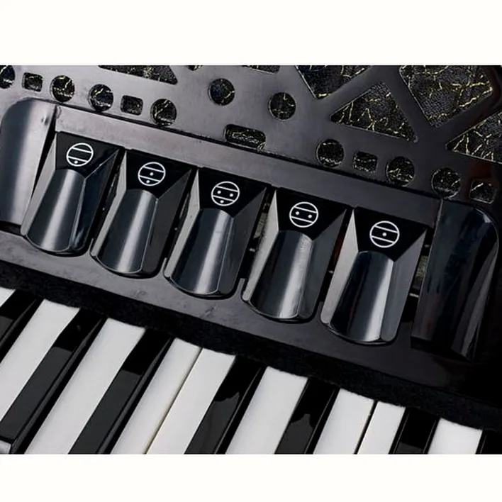 Test, Avis : Startone Piano Accordion 72 Black MKII