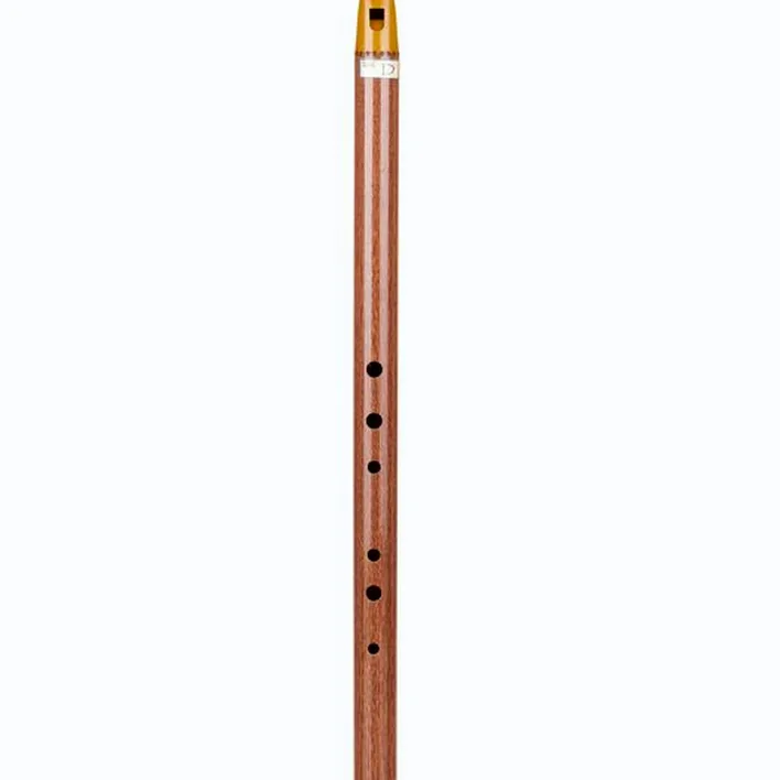 Test & Avis : Terre Irish Whistle D