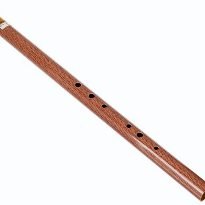 Test & Avis : Terre Irish Whistle D