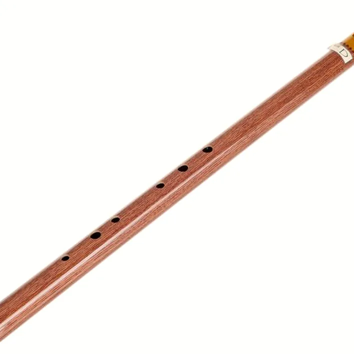 Test & Avis : Terre Irish Whistle D