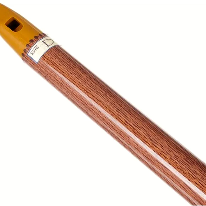 Test & Avis : Terre Irish Whistle D
