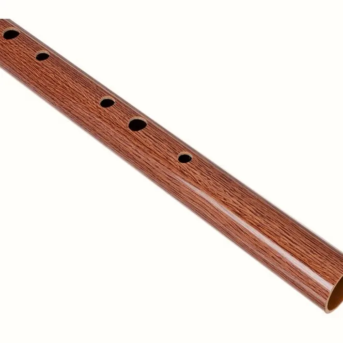 Test & Avis : Terre Irish Whistle D