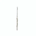 La flûte traversière Thomann AFL-300CS Flute : Test, Comparatif et Avis